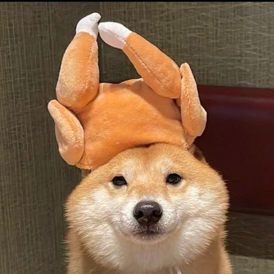 … I am cringe and thats pawg. I’ll never pawg and that not cringe. -Twitter( ᐛ )