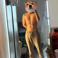 渝 (@haoerdidi) 's Twitter Profile