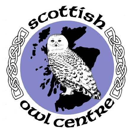 The Scottish Owl Centre in Polkemmet Country Park, close to both Edinburgh and Glasgow, has Scotland's largest collection of owls..