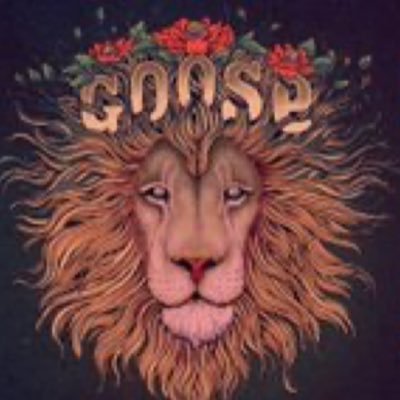 Deadhead. Goose/Phish. Lawyer. Dad. Owner of “Woof” the Berner.