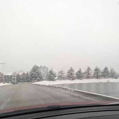 mc51nena's profile picture. 