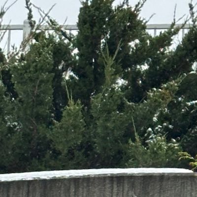 skk_0011's profile picture. 