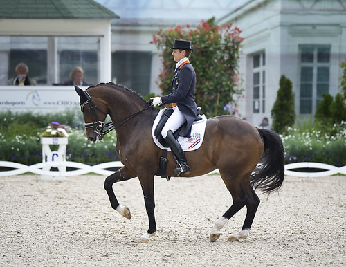 Breeder of top quality  KWPN dressage horses, owner of Sisther de Jeu, retired GP horse of Edward Gal. KWPN Dressage Breeder of the Year 2013.