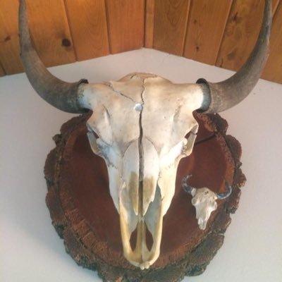 PelcBrian's profile image