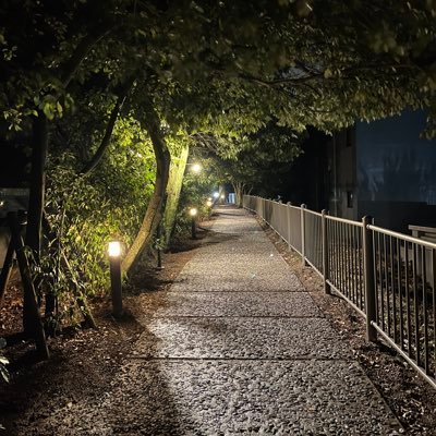 before_teatime's profile picture. 神大法の底