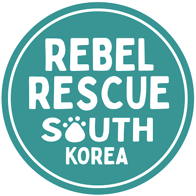 Our mission is to change the lives of dogs in South Korea. 

📍 Asan, South Korea
501(c)(3) registered. 
Volunteer run. 
Donation based.

IG: @rebelrescuesk