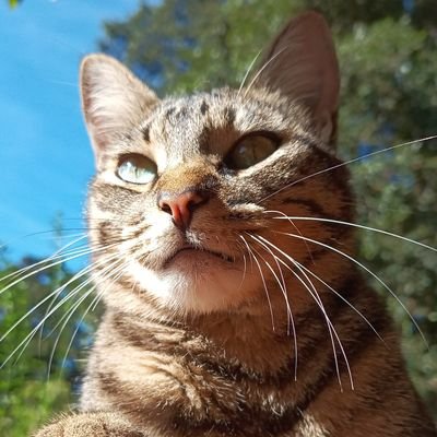 cecydk's profile picture. 