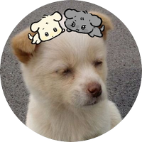 chiri (@mmoriesonyour) 's Twitter Profile Photo chiri (@mmoriesonyour) 's Twitter Profile Photo