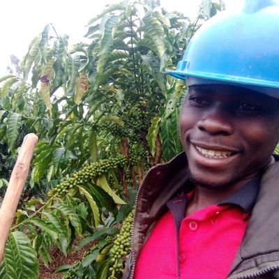 I am a professional trained and licenced secondary Teacher
I am also a farmer of different cash crops, but majorly on coffee production 🙌