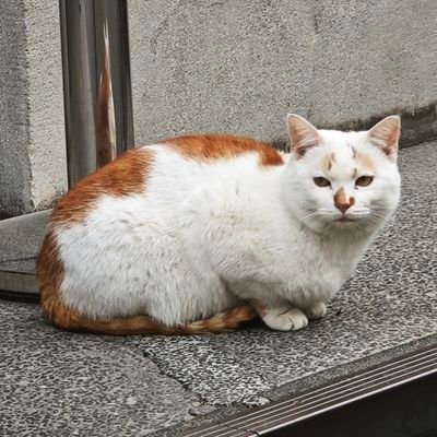 Wan_cyyy's profile picture. Try to experience something new