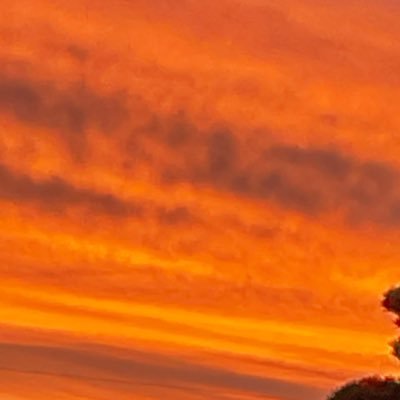 Nobujyun142624's profile picture. 