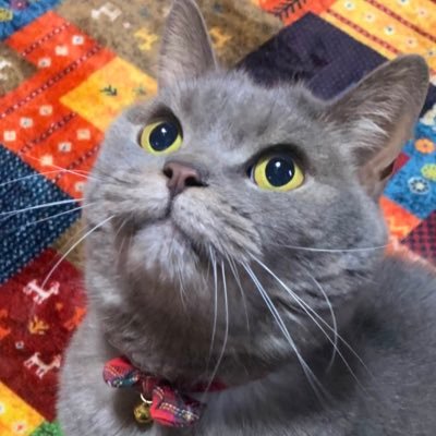 dousitu's profile picture. 『＃岡村清三氏の軍歴・証言・講演叢書から18歳の回天特攻隊員の遺書を考察する 』→2020年8月11日産経新聞掲載https://t.co/Bl3xu7WRIE。記者による書籍化→https://t.co/r2D59AZaoM 『#漫画家やなせたかし氏の証言や書籍から弟・第三期兵科予備学生柳瀬千尋中尉の軍歴を考察する』回天・特型格納筒