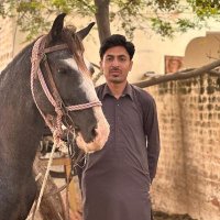 Zulfiqar Abbas(@Zulfiqar2619) 's Twitter Profile Photo