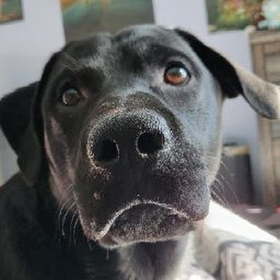 randomwords5656's profile picture. 