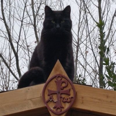 GiampaoloVinci3's profile picture. effervescente naturale