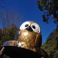 ☪️金欠妄者🦄 (@hiyama_yu) Twitter profile photo