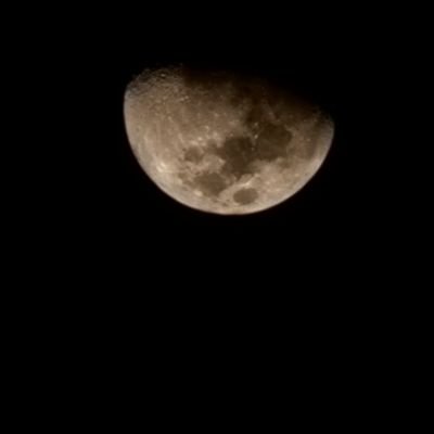 tekirinkaari04's profile picture. ◎印度尼西亚和中国◎