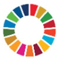 SDGInterim(@SDGInterim) 's Twitter Profile Photo