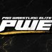 𝗣𝗥𝗢 𝗪𝗥𝗘𝗦𝗧𝗟𝗜𝗡𝗚 𝗘𝗟𝗜𝗧𝗘 (@elite_prow) Twitter profile photo 𝗣𝗥𝗢 𝗪𝗥𝗘𝗦𝗧𝗟𝗜𝗡𝗚 𝗘𝗟𝗜𝗧𝗘 (@elite_prow) Twitter profile photo