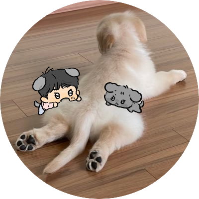 puppygyumi Profile Picture