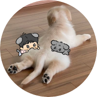 🐶🍀 (@puppygyumi) 's Twitter Profile Photo 🐶🍀 (@puppygyumi) 's Twitter Profile Photo