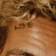 F13M6540's profile picture. Web3 MAXI 
i want the world!