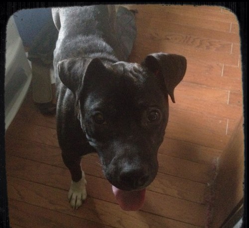 degendave64's profile picture. 