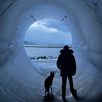 Bioarchaeology in the Camino de Santiago. Postdoctoral researcher Vrije Universiteit Brussel (VUB) and the Max Planck Institute of Geoanthropology