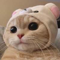 Void | Justin (@youngstrelow) 's Twitter Profile Photo Void | Justin (@youngstrelow) 's Twitter Profile Photo