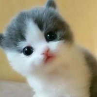 F🐣 (@minnossbebekk) 's Twitter Profile