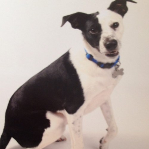 Peppermenpatty's profile picture. 