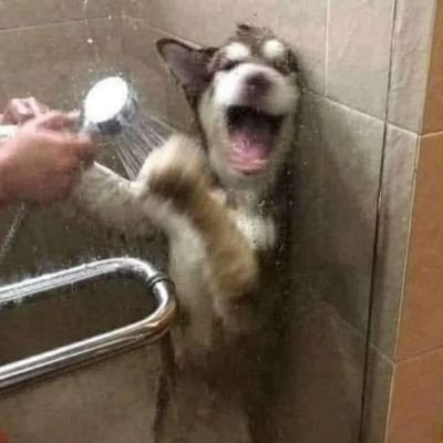 0x1628_'s profile picture. 