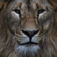 Ozgur (@coinozgur) 's Twitter Profile