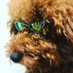 hopuhopu (@hopu_hopusan) Twitter profile photo hopuhopu (@hopu_hopusan) Twitter profile photo