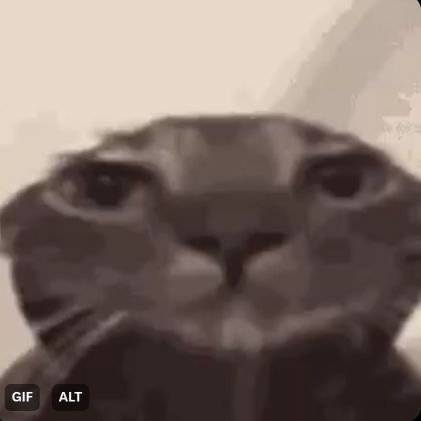 astralqz's profile picture. 