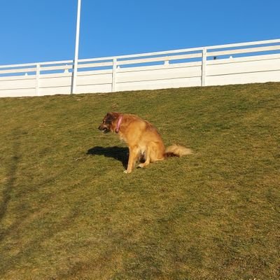 MargoTrachova's profile picture. 🇺🇦