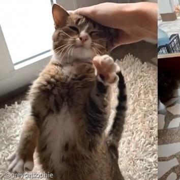 eung943958's profile picture. 