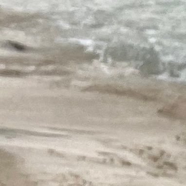 10na_ka1's profile picture. 