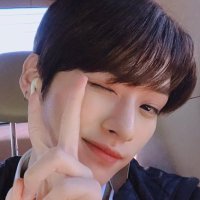 리노바라기 (@minnho_ww) 's Twitter Profile