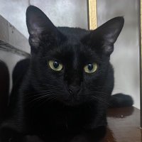 0oPREMIUMo0 (@oopremiumoo) 's Twitter Profile