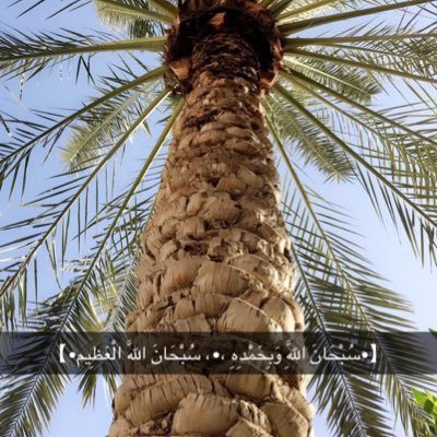 السلام عليكم ورحمة الله وبركاته، أهلاً وسهلاً بكم بصفحتي على توتير؛ أتشرف بالتغريدات المفيدة وأعطيها ( رتويت ) كما أكتب تغريدات أرجو أن تكون مفيدة..