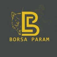 Borsa Param(@borsaparamX) 's Twitter Profile Photo