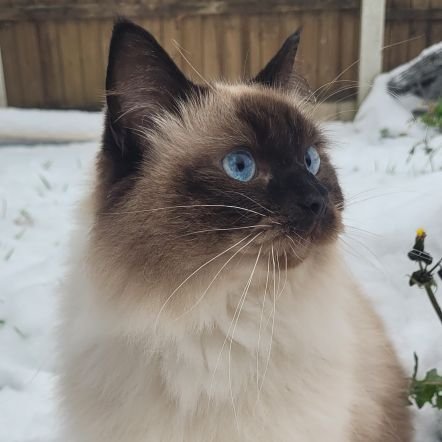 Aeslyn_x's profile picture. 