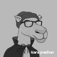 pradhankirraa's profile picture. 
