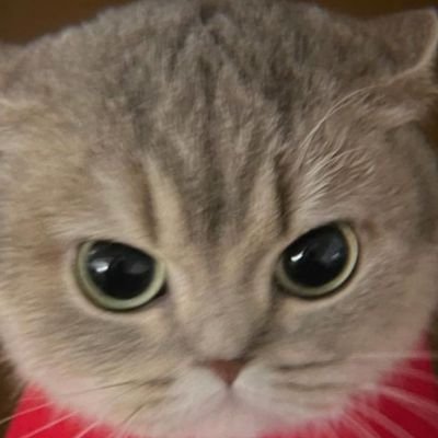 Salty_Hunter's profile picture. Oui