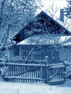 PalomaKitc71415's profile picture. 