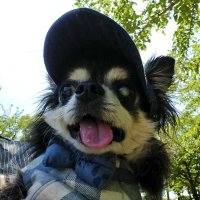 アンコロ (@jona_poor_man) 's Twitter Profile Photo アンコロ (@jona_poor_man) 's Twitter Profile Photo