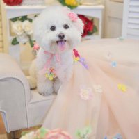 ジャネット_55.00🌹♥️♥️🌹 (@janet5500127627) 's Twitter Profile