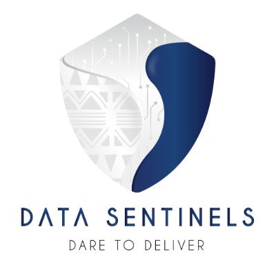 Data_Sentinels Profile Picture