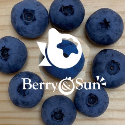 BerrySun2020's profile picture. 購入はこちら→ https://t.co/0E6tnPmceG ブルーベリーが主力。大学では生物学を学び、植物の遺伝に関わる研究をしていました。パニック障害乗り越え、2022年6月10日始動！植物に寄り添い美味しい果実を頂くスタンス。ニホンミツバチ&多品目野菜にも挑戦中！
